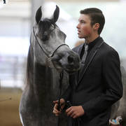 Youth Arabian National Championships