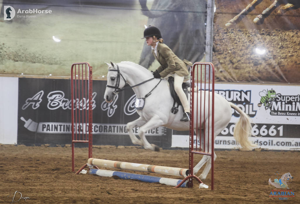 Youth Arabian National Championships