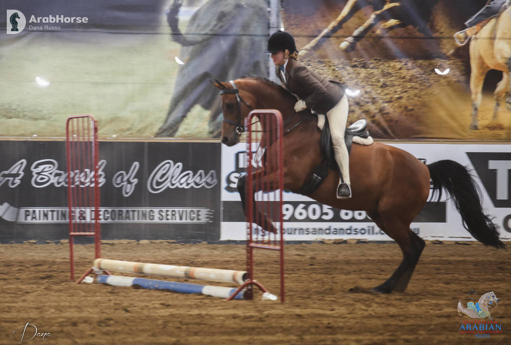 Youth Arabian National Championships