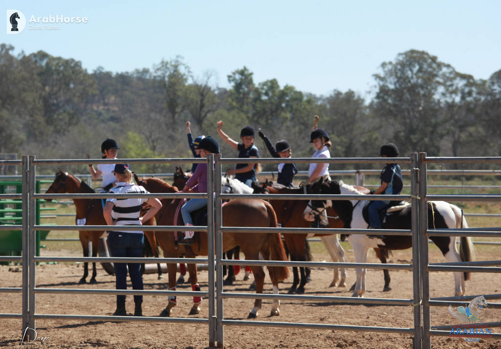 Youth Arabian National Championships