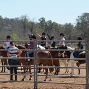 Youth Arabian National Championships
