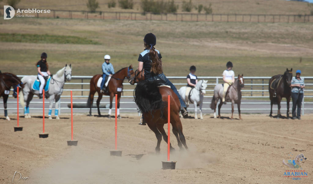 Youth Arabian National Championships