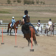 Youth Arabian National Championships