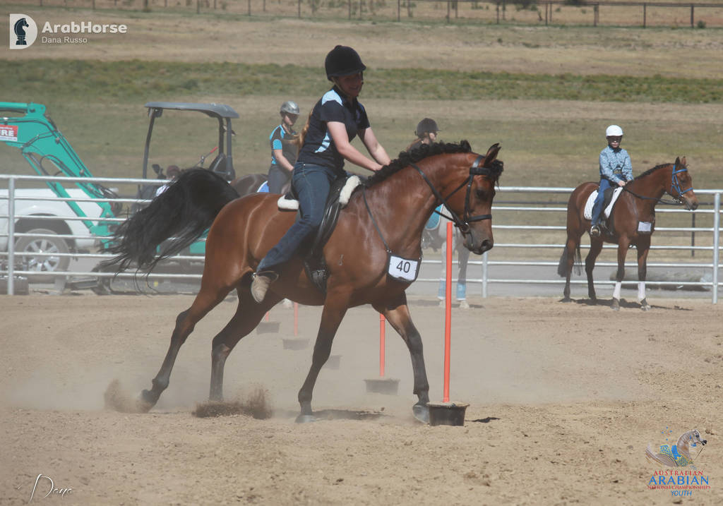 Youth Arabian National Championships