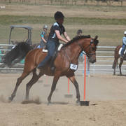 Youth Arabian National Championships