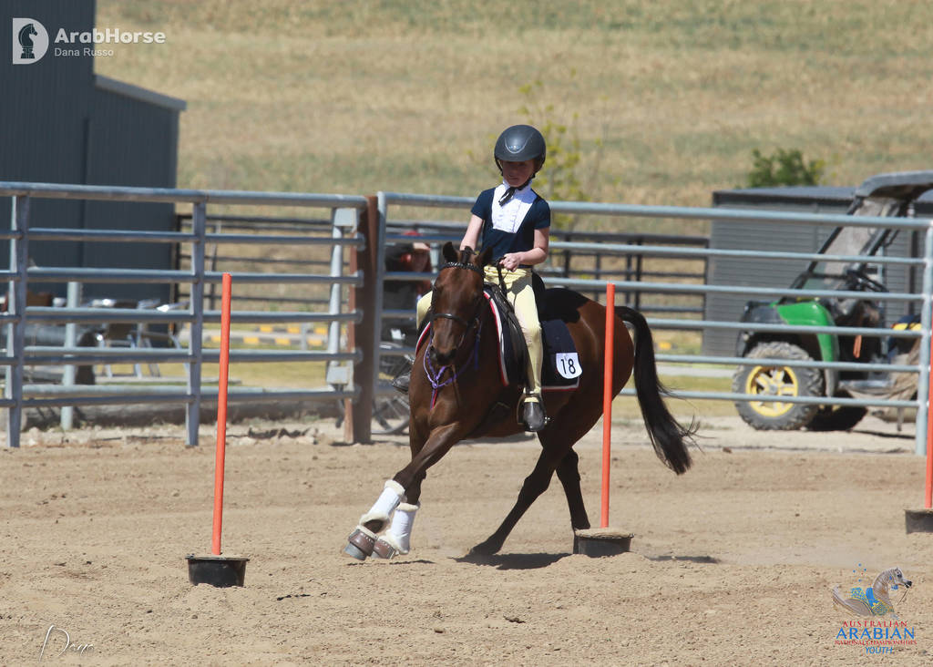 Youth Arabian National Championships