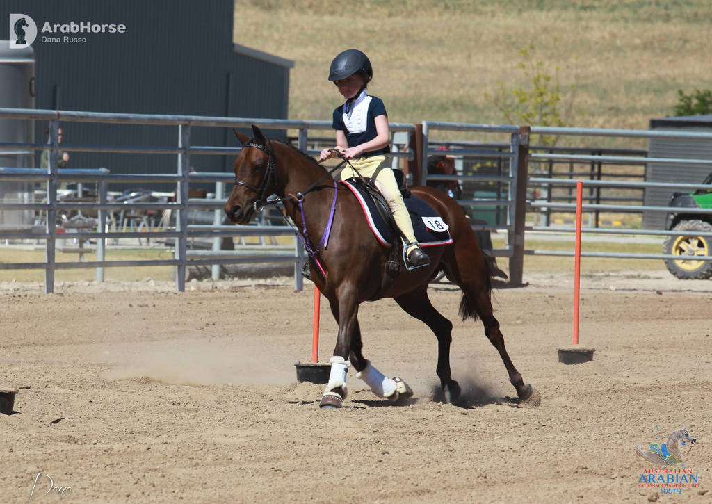 Youth Arabian National Championships