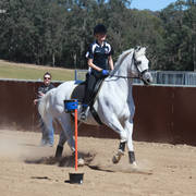 Youth Arabian National Championships