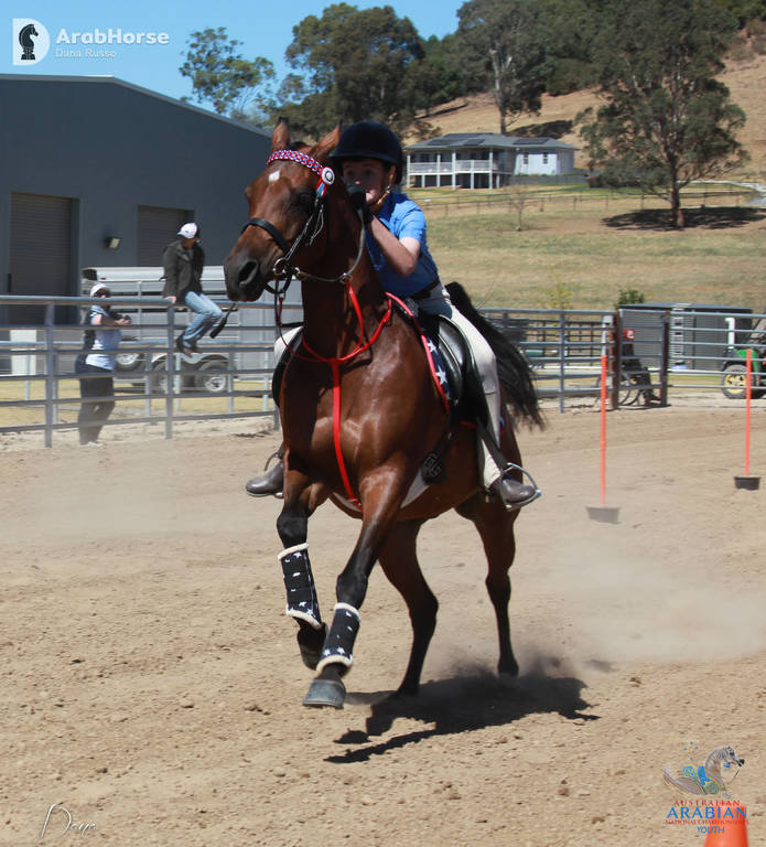 Youth Arabian National Championships