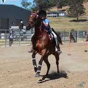 Youth Arabian National Championships