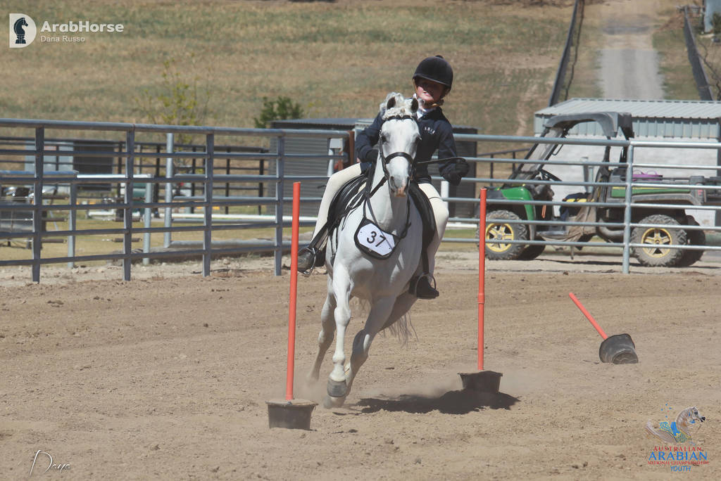 Youth Arabian National Championships