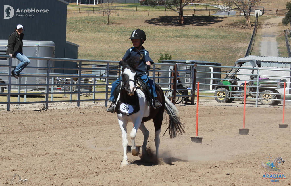 Youth Arabian National Championships