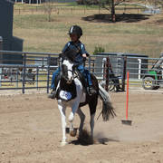 Youth Arabian National Championships
