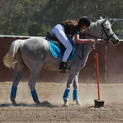 Youth Arabian National Championships