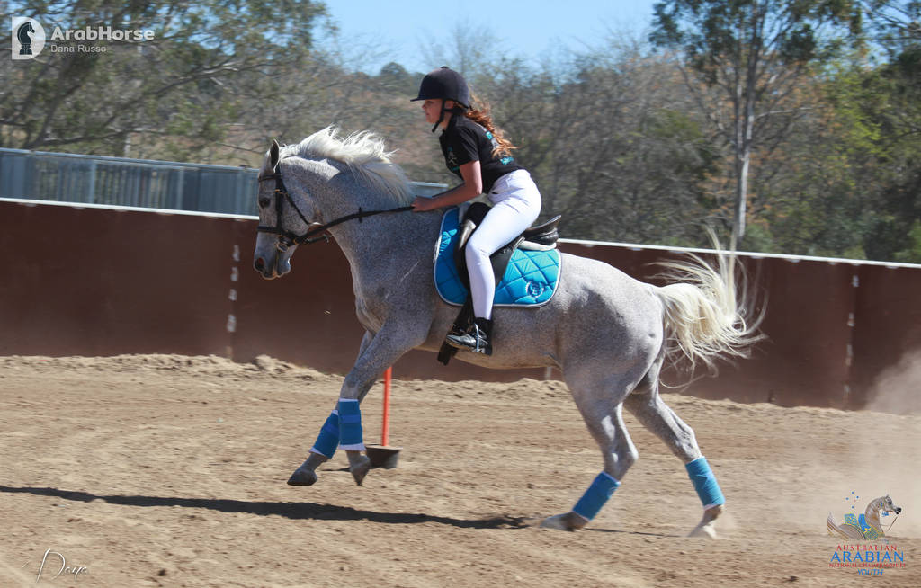 Youth Arabian National Championships