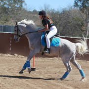Youth Arabian National Championships