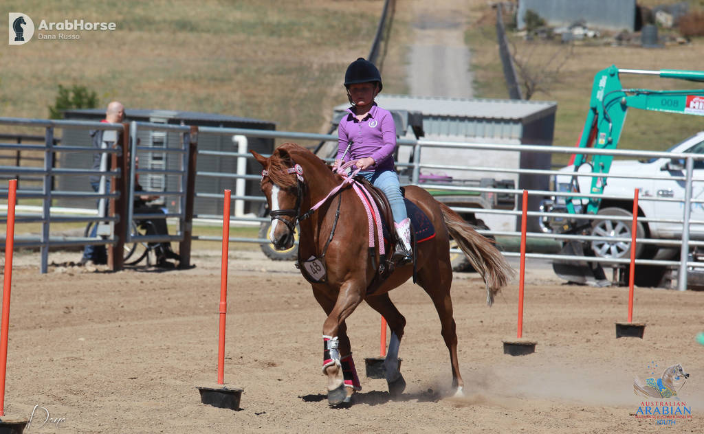 Youth Arabian National Championships