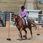 Youth Arabian National Championships