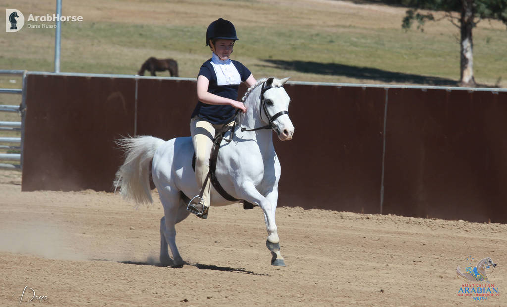 Youth Arabian National Championships