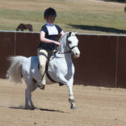 Youth Arabian National Championships