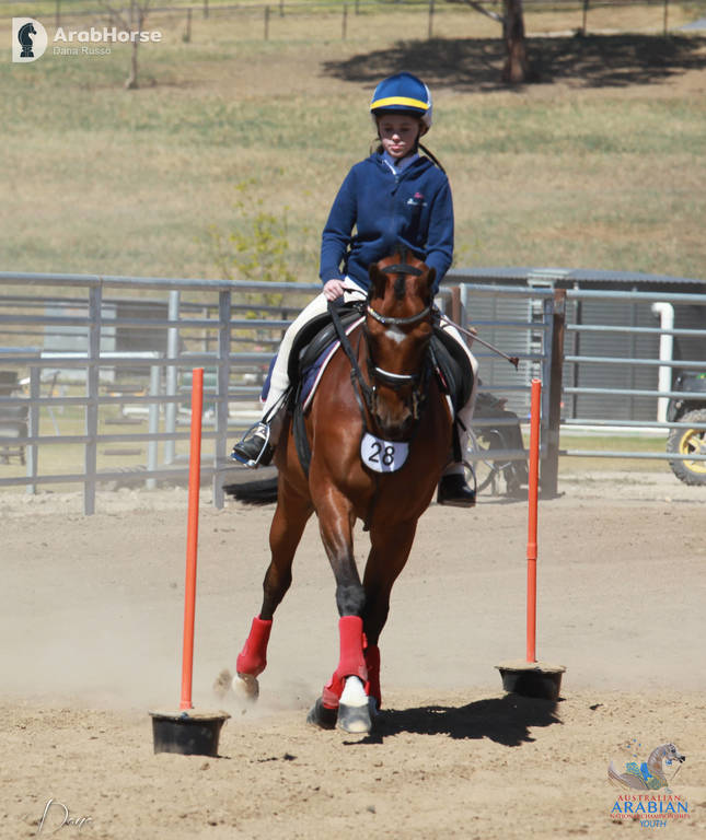 Youth Arabian National Championships