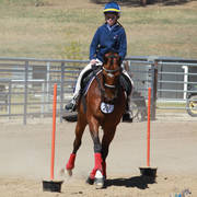 Youth Arabian National Championships