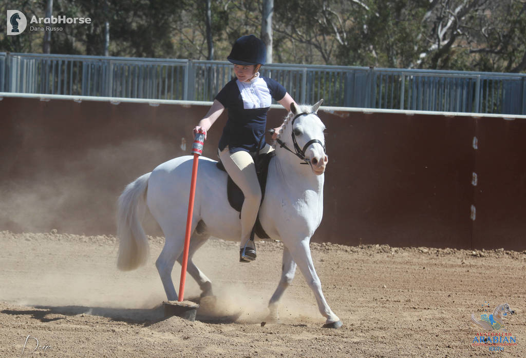 Youth Arabian National Championships