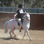 Youth Arabian National Championships