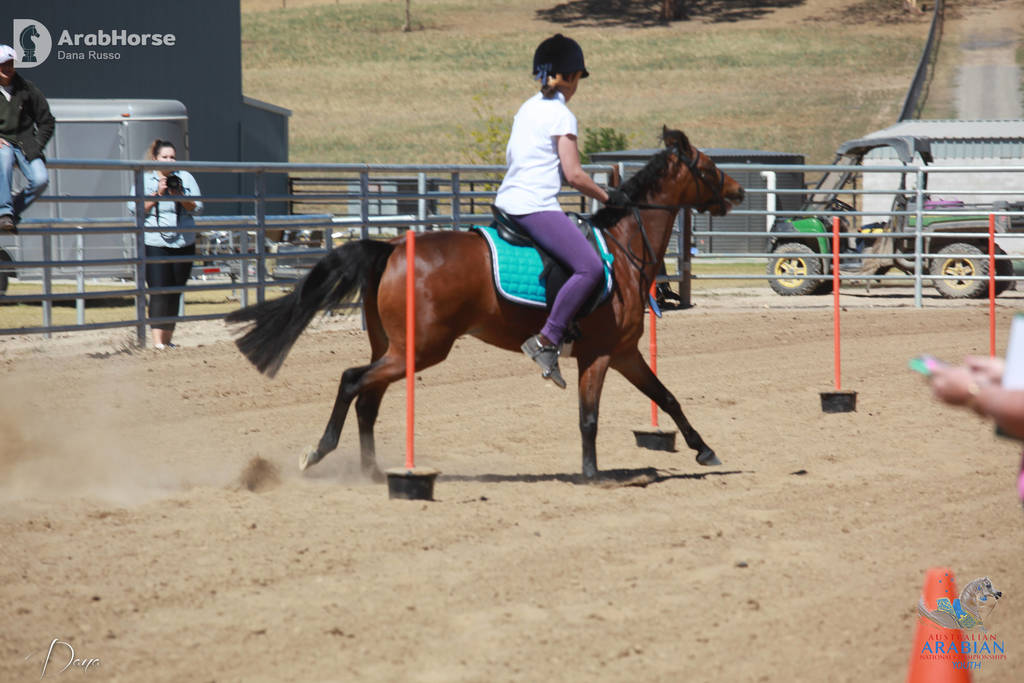 Youth Arabian National Championships