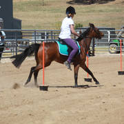Youth Arabian National Championships