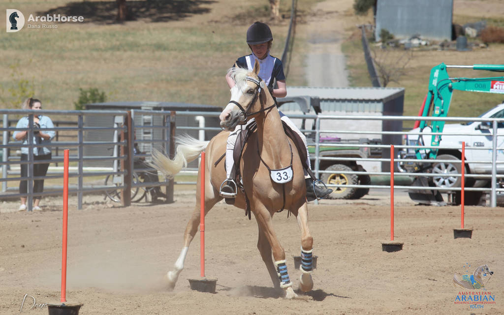 Youth Arabian National Championships