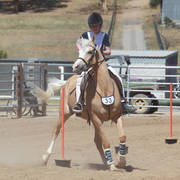 Youth Arabian National Championships