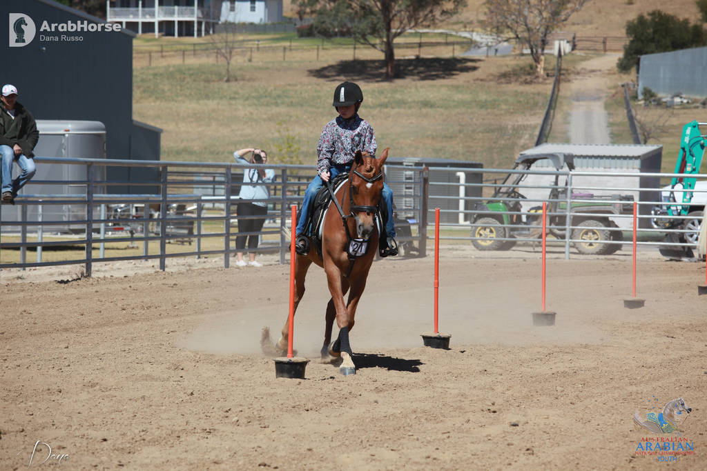 Youth Arabian National Championships