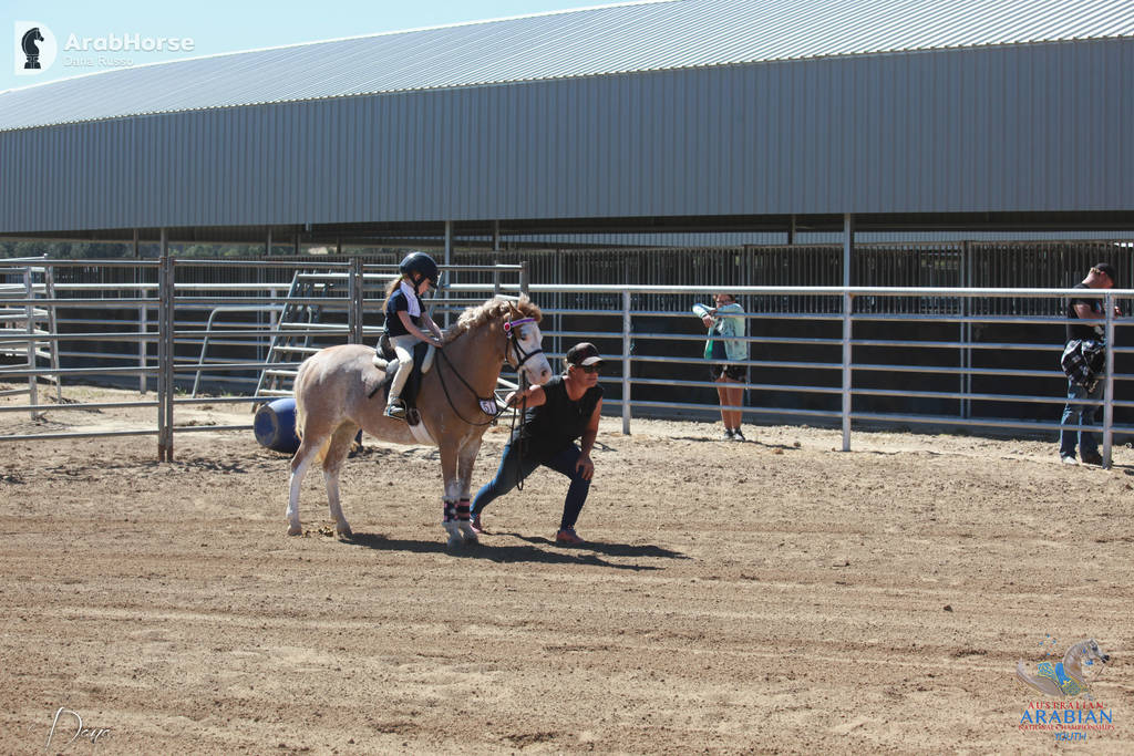 Youth Arabian National Championships