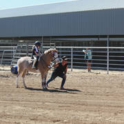 Youth Arabian National Championships