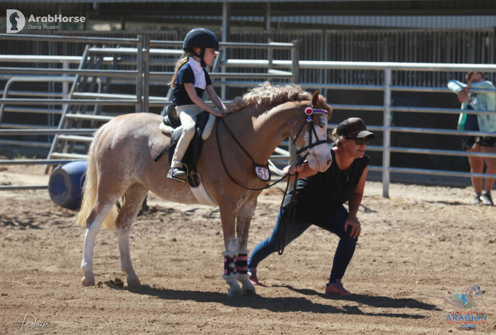 Youth Arabian National Championships