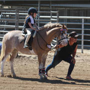 Youth Arabian National Championships