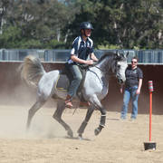 Youth Arabian National Championships