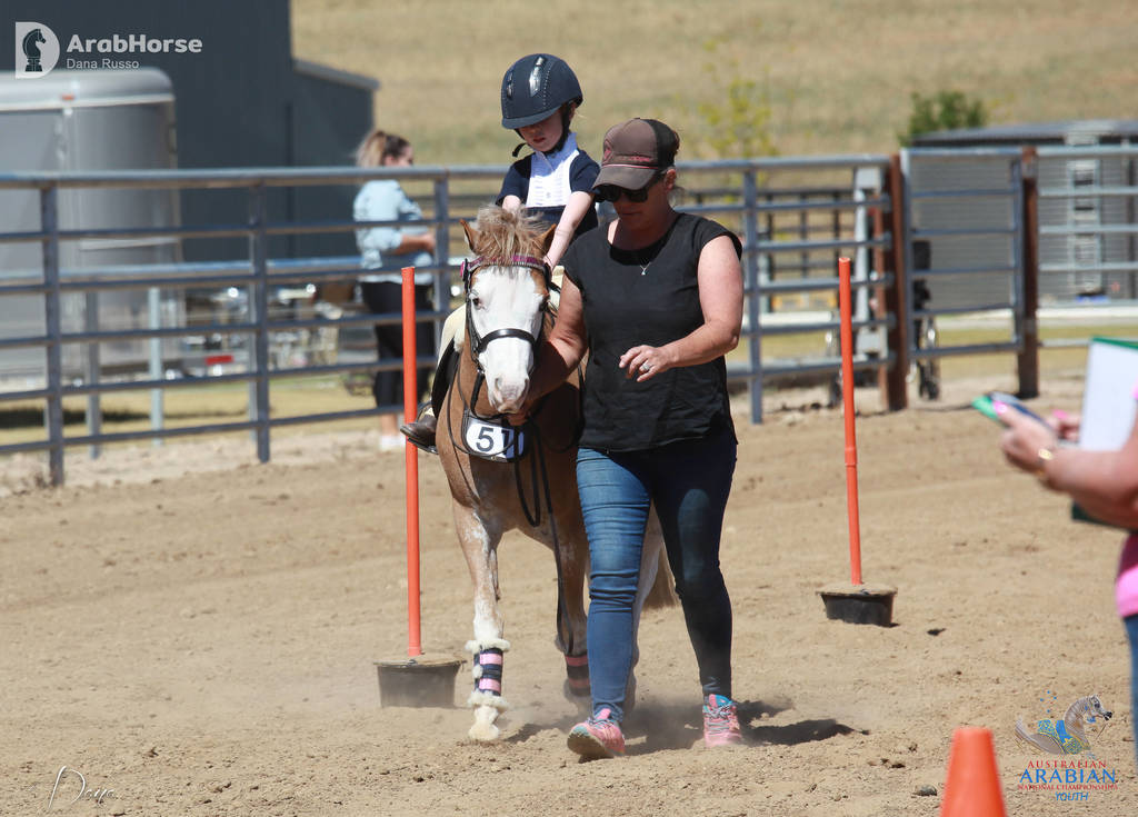 Youth Arabian National Championships
