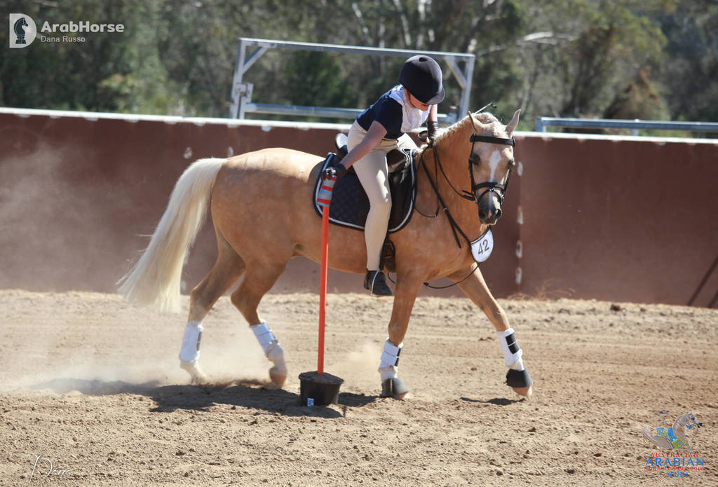 Youth Arabian National Championships