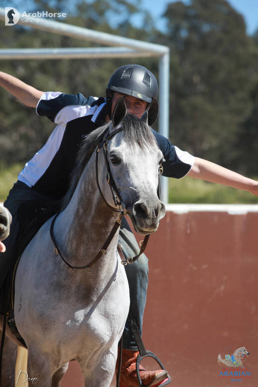 Youth Arabian National Championships