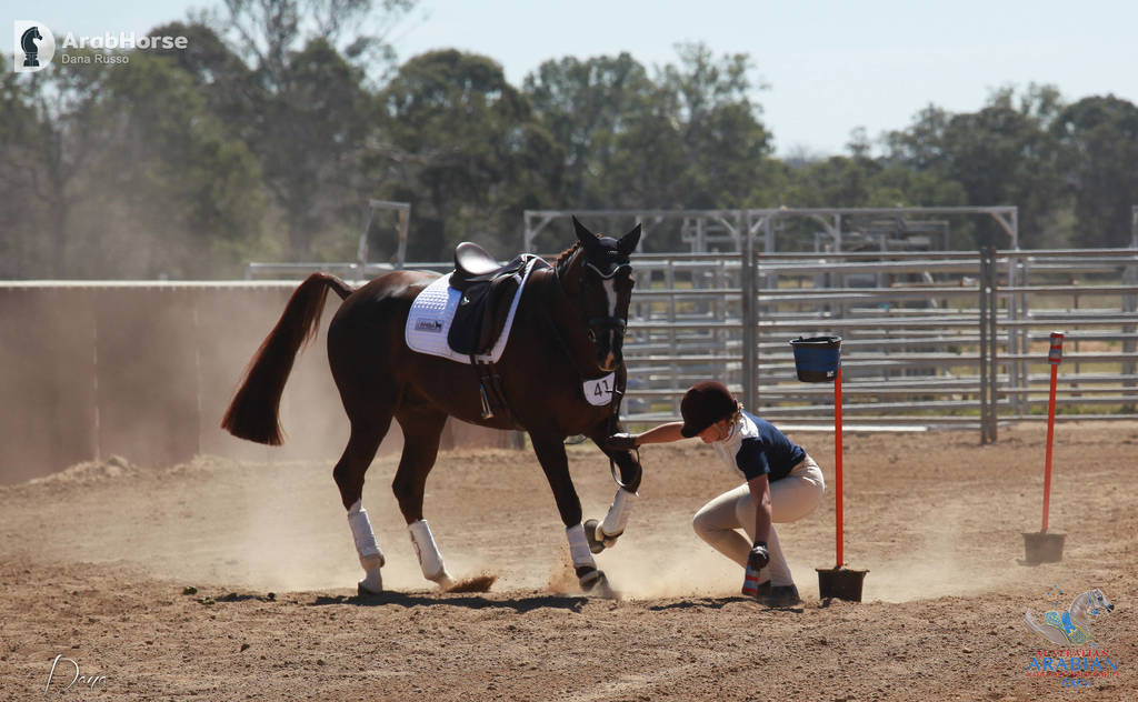 Youth Arabian National Championships
