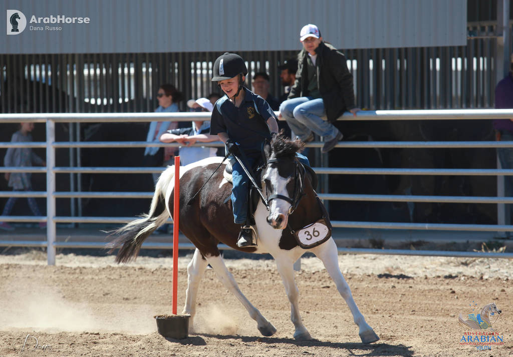 Youth Arabian National Championships