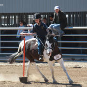 Youth Arabian National Championships