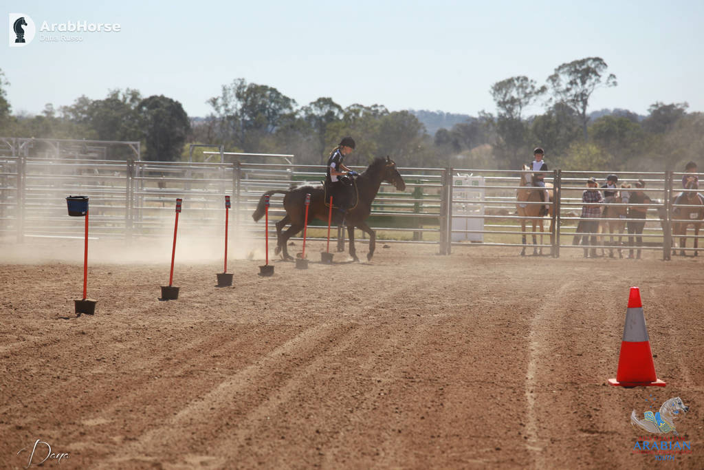 Youth Arabian National Championships