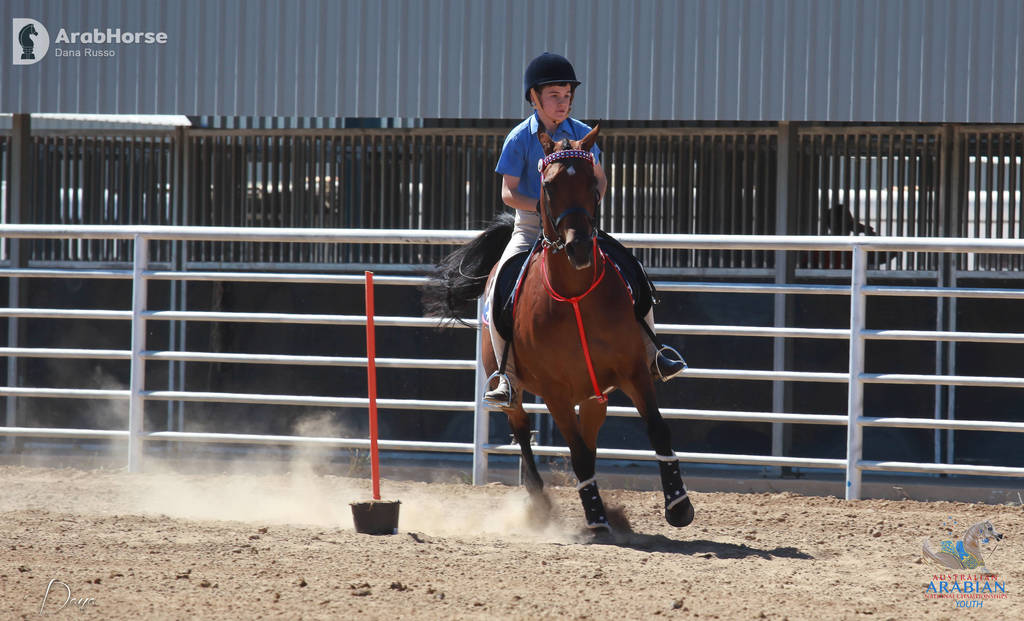 Youth Arabian National Championships
