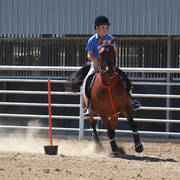 Youth Arabian National Championships