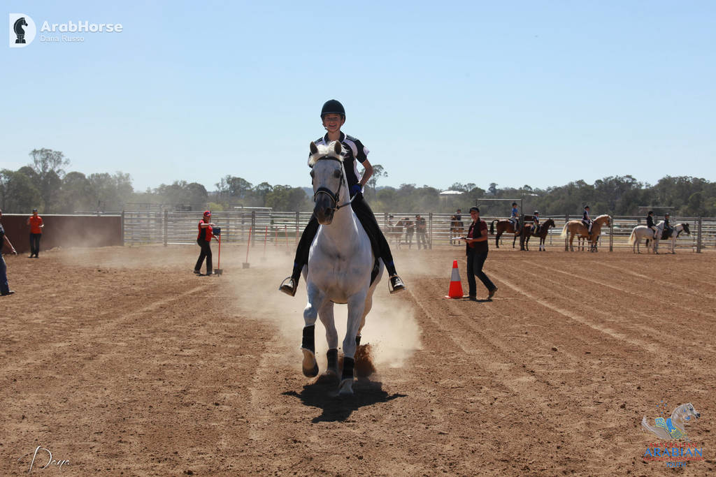 Youth Arabian National Championships