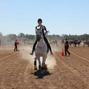 Youth Arabian National Championships