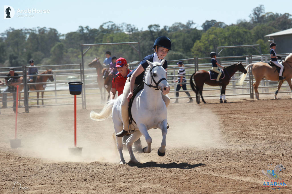 Youth Arabian National Championships
